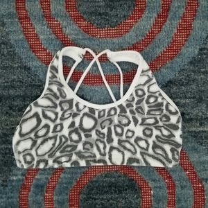 Hard Tail Cheetah Print Sports Bra